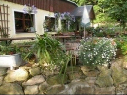 Foto: Putzm&amp;uuml;hle